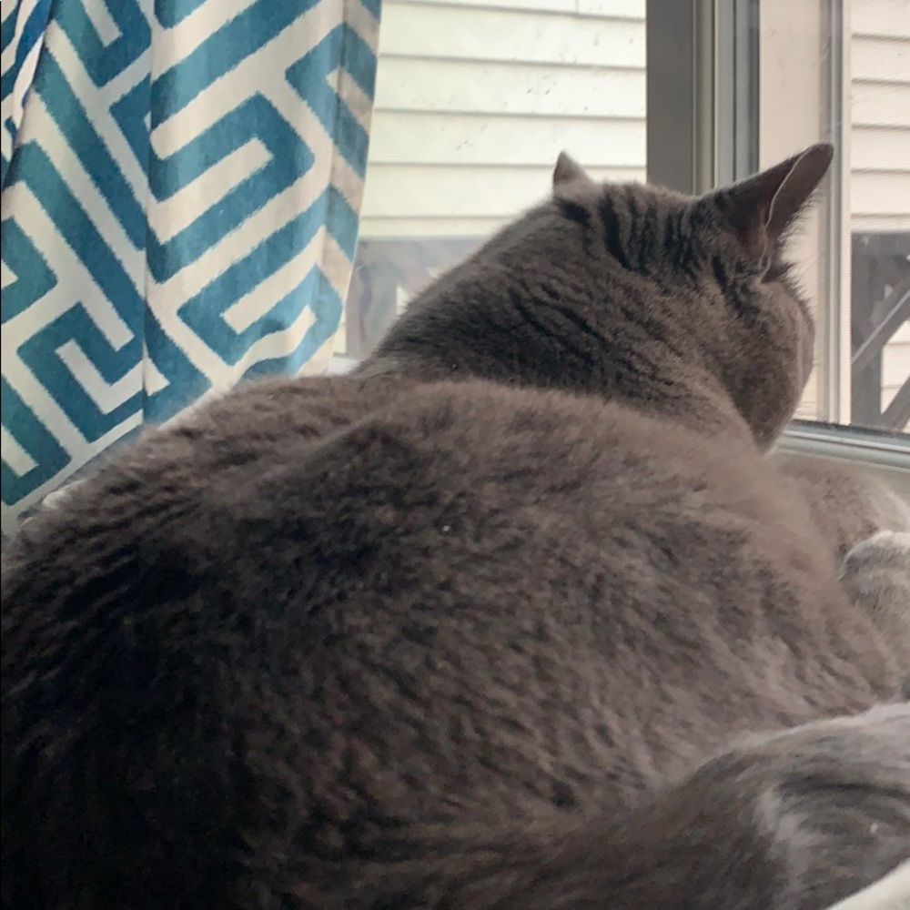 Meet your Posher, Jaime